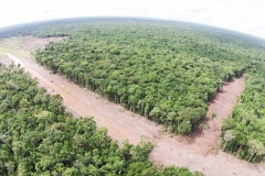 untitled-835-of-1003