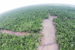 untitled-841-of-1003