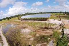 untitled-925-of-1003