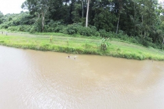 untitled-952-of-1003