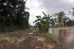 untitled-964-of-1003