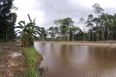 untitled-965-of-1003