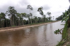 untitled-966-of-1003