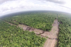 untitled-979-of-1003