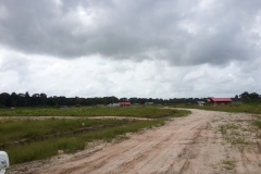 untitled-981-of-1003