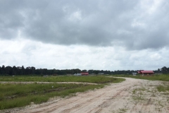 untitled-982-of-1003