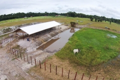 untitled-860-of-1003