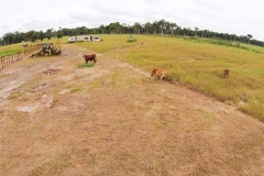 untitled-863-of-1003