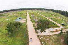 untitled-868-of-1003