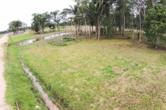 untitled-871-of-1003