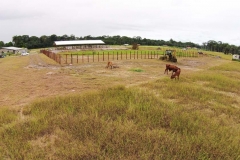 untitled-872-of-1003