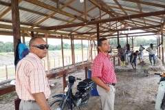 untitled-880-of-1003