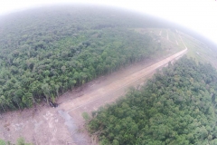 untitled-881-of-1003