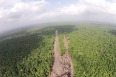 untitled-889-of-1003