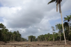 untitled-895-of-1003