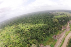 untitled-897-of-1003