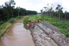 untitled-903-of-1003