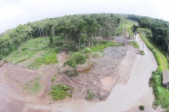 untitled-919-of-1003