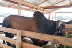 untitled-932-of-1003