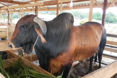 untitled-934-of-1003