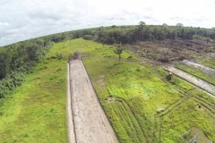 untitled-225-of-1003