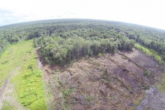 untitled-247-of-1003