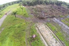 untitled-249-of-1003