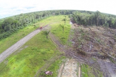 untitled-250-of-1003