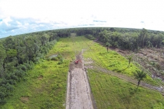 untitled-259-of-1003