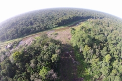 D2015Feb20083454DJI00925