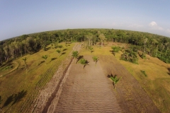 D2015Feb20084242DJI00940