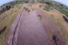 D2015Feb20084252DJI00941