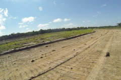untitled-329-of-1003