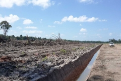 untitled-336-of-1003