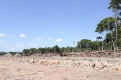 untitled-337-of-1003