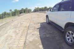 untitled-344-of-1003