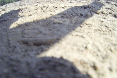 untitled-356-of-1003
