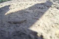 untitled-360-of-1003