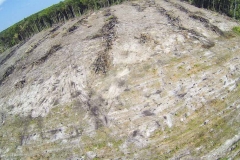 untitled-392-of-1003