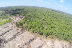 untitled-408-of-1003