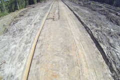 untitled-424-of-1003