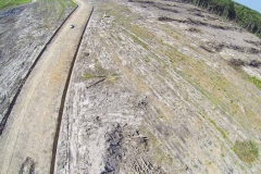 untitled-456-of-1003