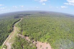 untitled-551-of-1003