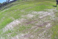 untitled-593-of-1003