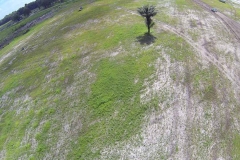 untitled-595-of-1003