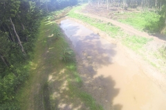 untitled-634-of-1003