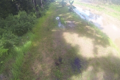 untitled-666-of-1003