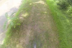 untitled-682-of-1003