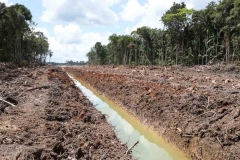 untitled-782-of-1003