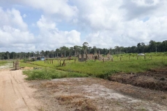 untitled-786-of-1003